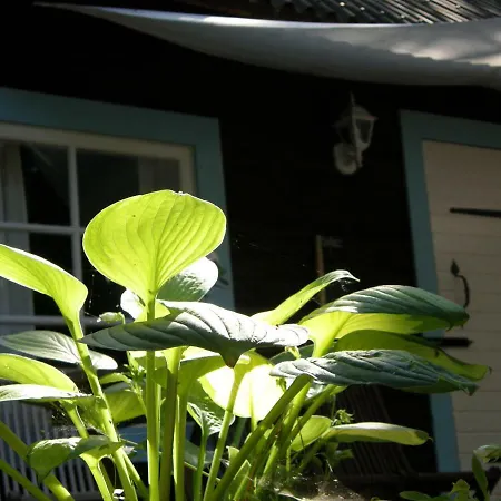 Ranna Villa Farm Kudema Exterior photo