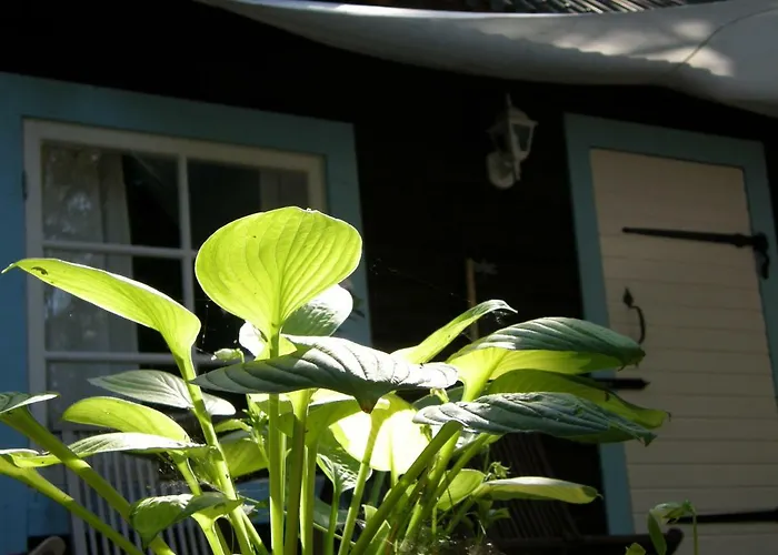 Ranna Villa Farm