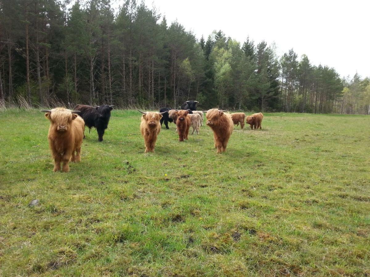 Ranna Farm *